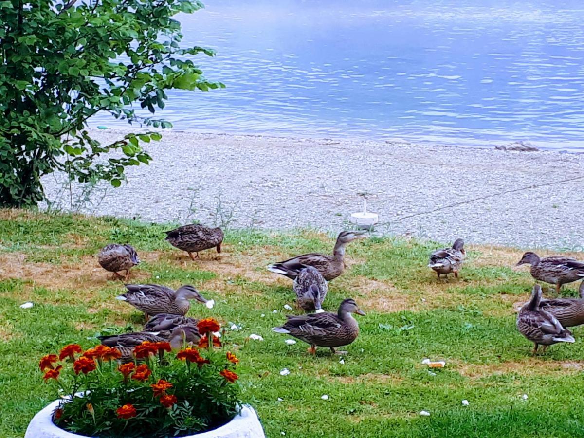 Gradska Plaza Ada Otel Novi Grad Dış mekan fotoğraf